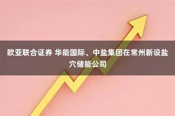 欧亚联合证券 华能国际、中盐集团在常州新设盐穴储能公司